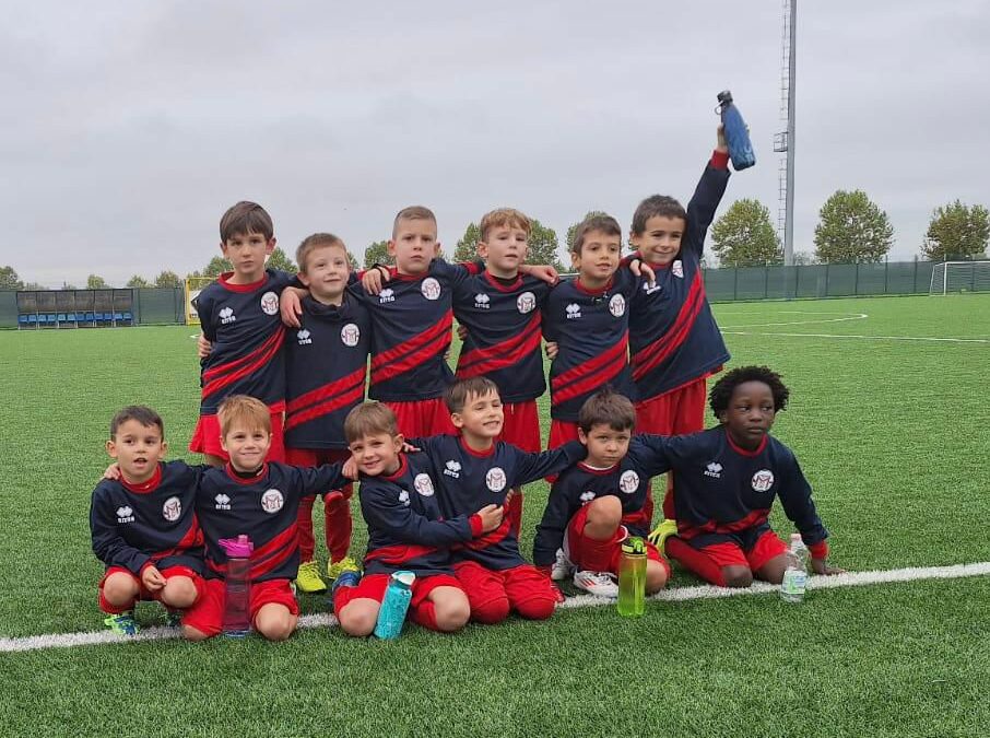Piccoli Amici stupendi